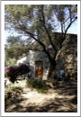 photo maison saint hyacinthe